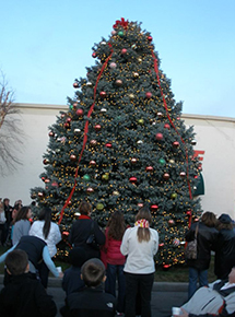 The Village Aglow Tree Lighting Ceremony