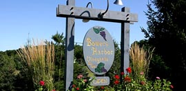 Bowers Harbor Vineyards