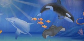 Goldfish Swim School