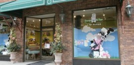 Teacups and Toys: A Pet Boutique