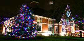 Birmingham Tree Lighting