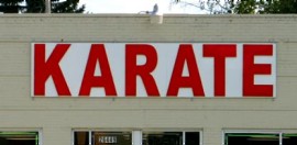 Redford Karate